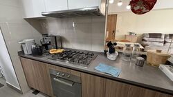 Rivercove Residences (D19), Condominium #521062251